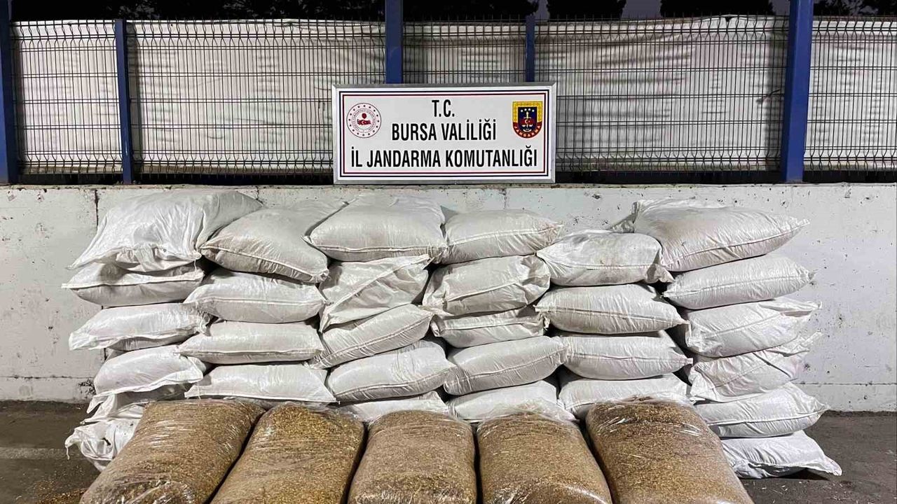 Bursa'da kaçak sigara deposuna jandarma baskını