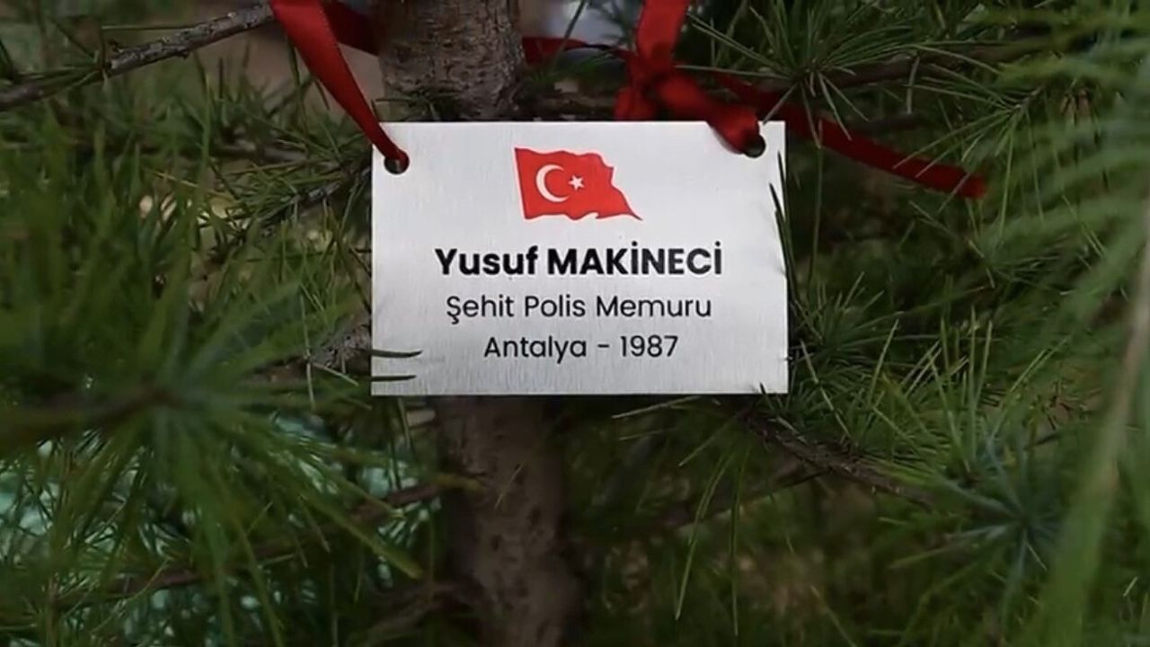 Bursa'da şehitler anısına fidan dikimi