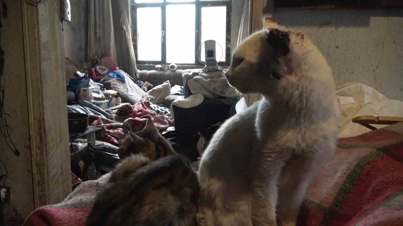 Bursa Nilüfer'de Yalnız Yaşayan Adamın Evi Çöplüğe Döndü