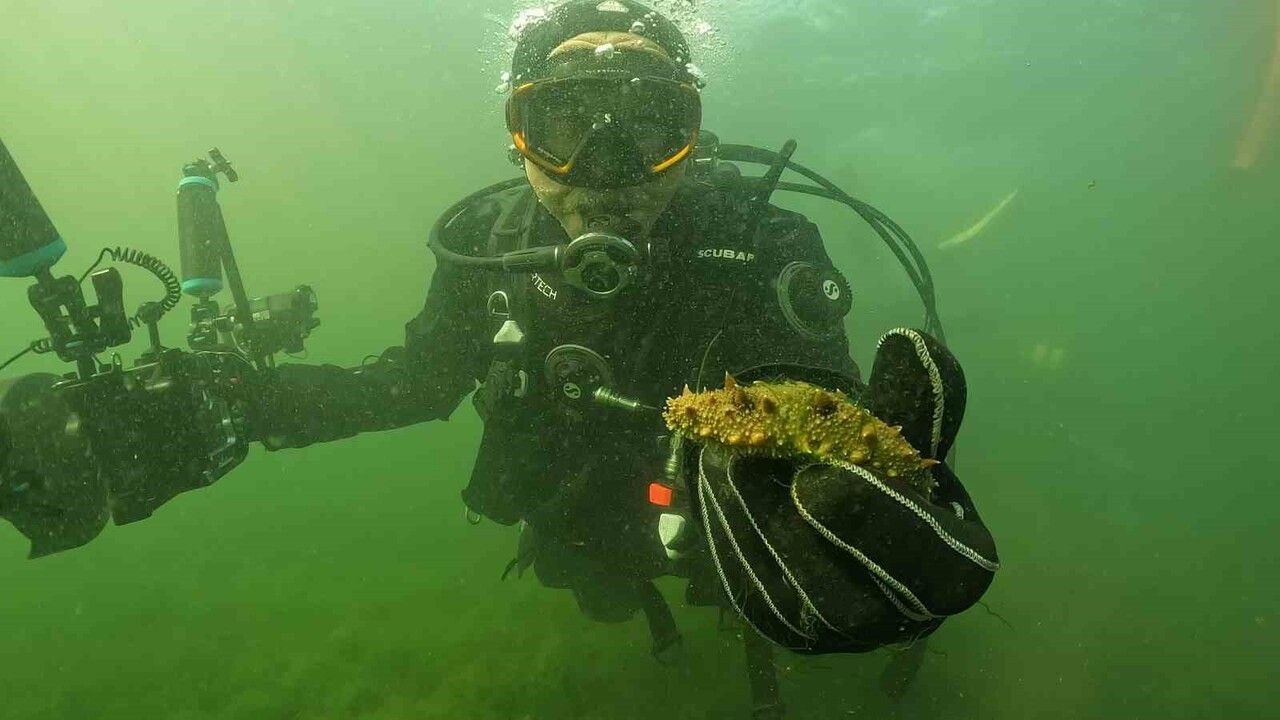 Büyükakın dalgıç kıyafetiyle İzmit Körfezi’ne daldı: Deniz tabanında yaşam kıpırdanıyor