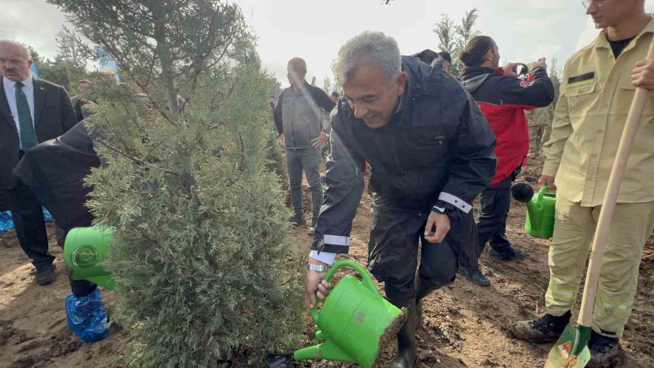 Çanakkale'de 11 Kasım Milli Ağaçlandırma Günü'nde 20 bin fidan toprakla buluştu