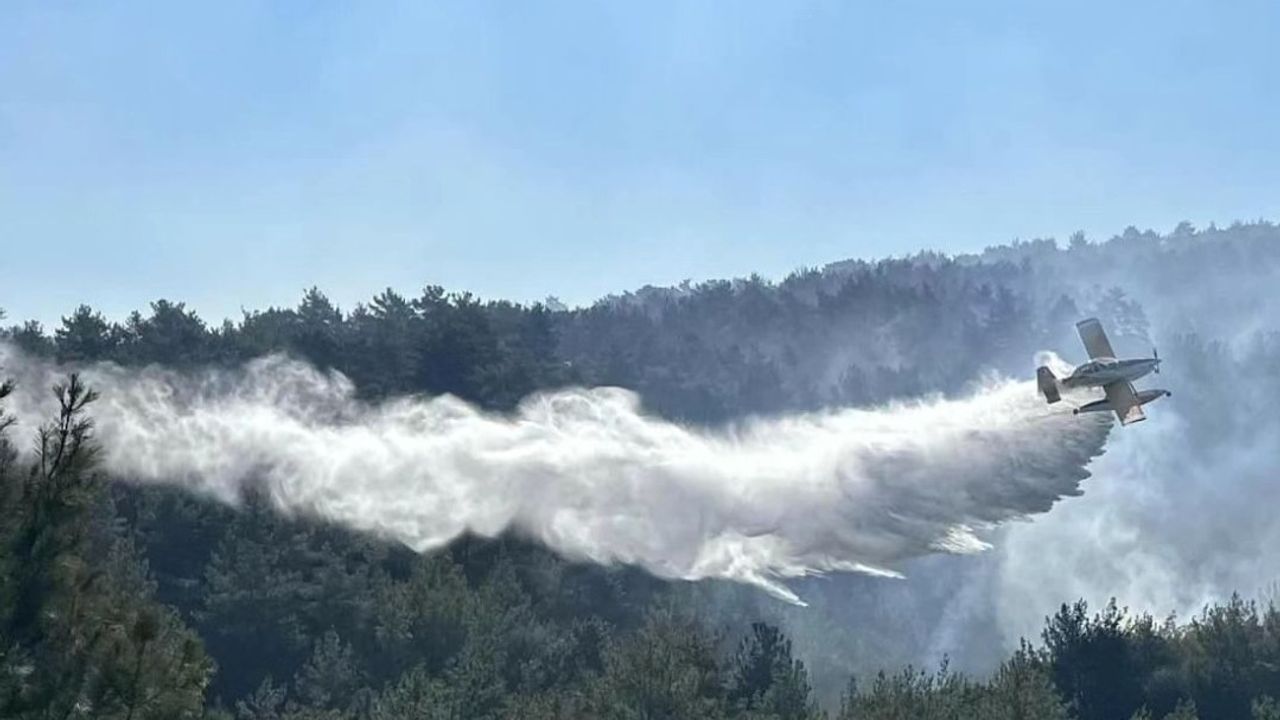 Çanakkale'de 2025 orman yangınları: 8.477 ha zarar, yeniden ormanlaştırma planı