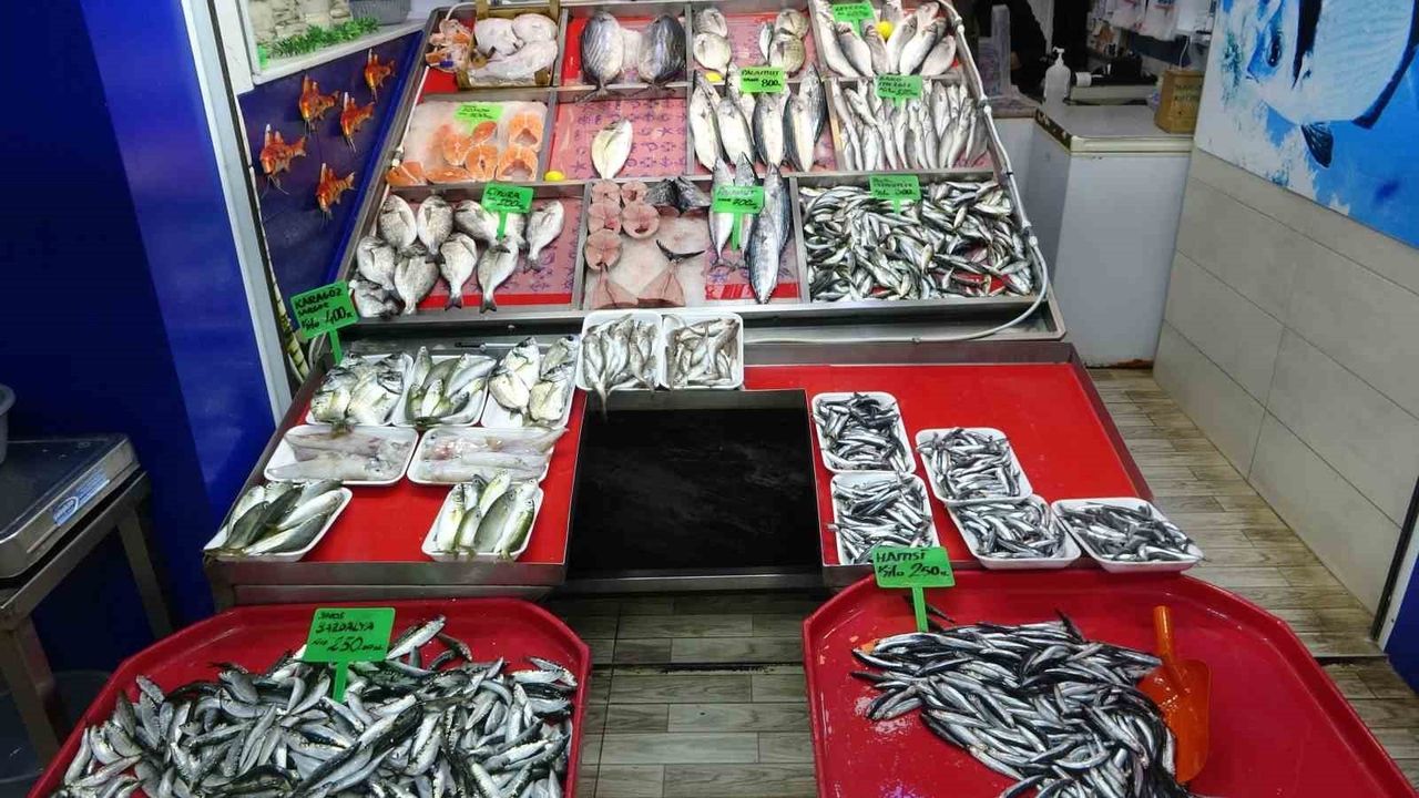 Çanakkale'de hamsi ve sardalya tezgahlarda: Lüfer yükseldi, palamut azaldı