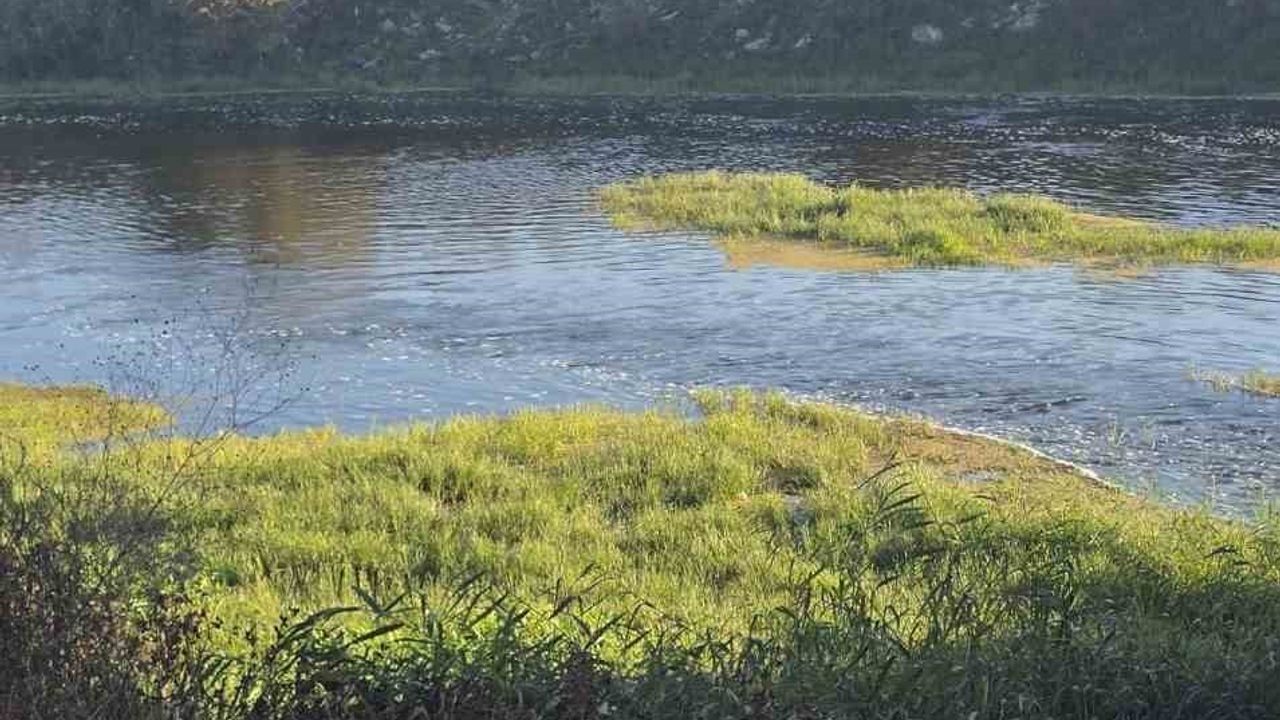 Canbolu Deresi'nde trajedi: 10 yaşındaki Hızır Ali hayatını kaybetti