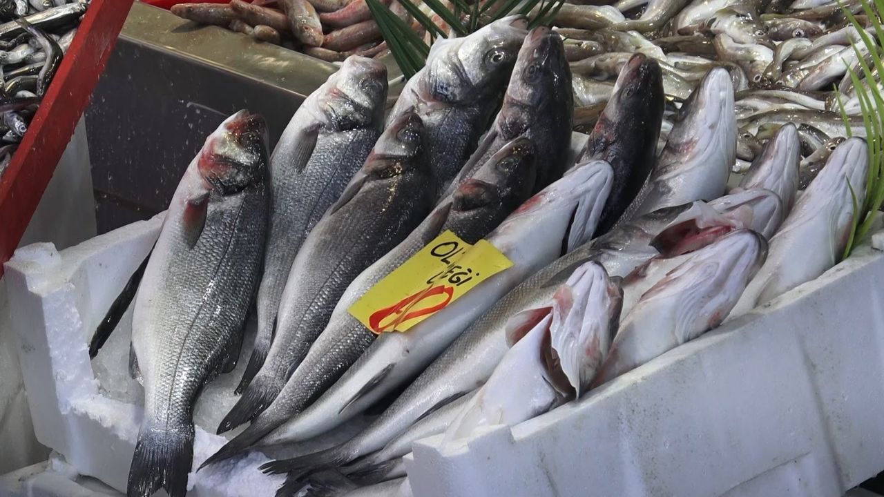 Çankırı'da Uygun Fiyatlı Hamsi Sevinci