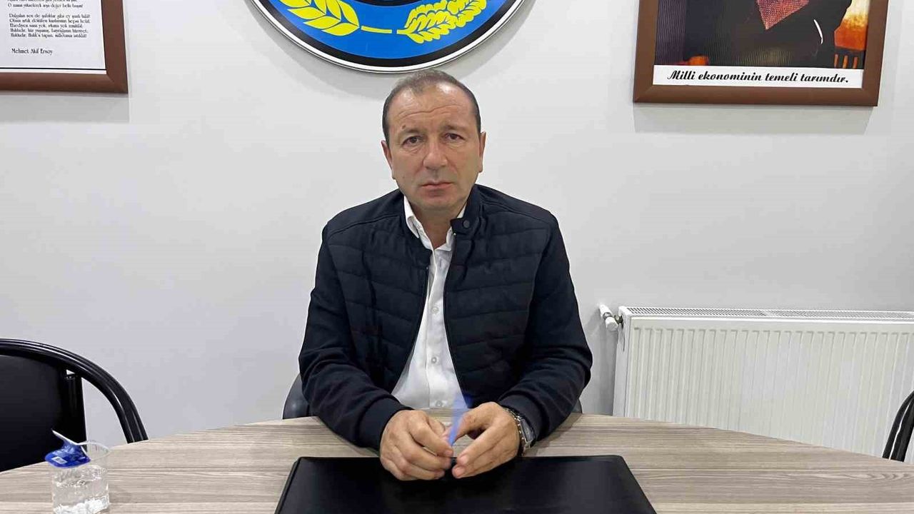 Çarşamba'da Kivi Hasadı Başladı: Türkiye'nin Kivi Başkenti Olma Hedefi