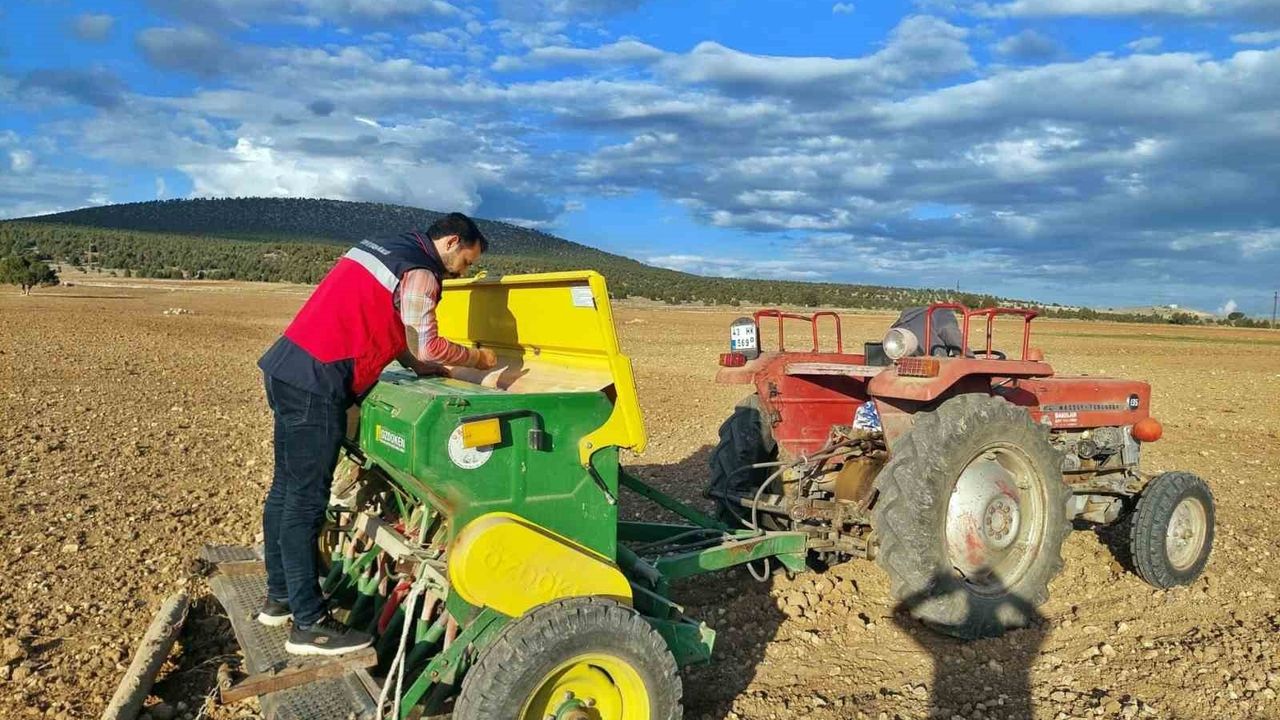 Çavdarhisar'da buğday ve tritikale demonstrasyon ekimleri gerçekleştirildi