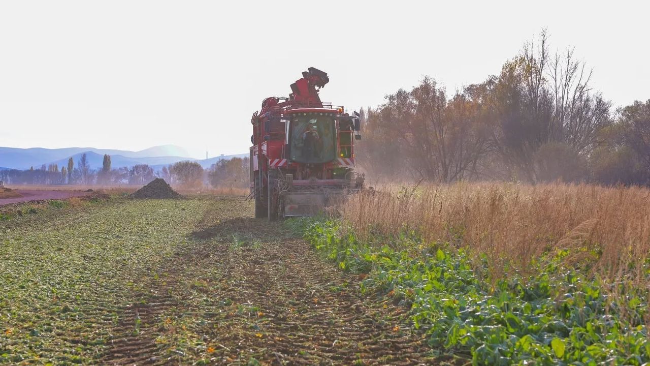 Çiftetaş'ta 2025 şeker pancarı hasadı başladı — Bayburt