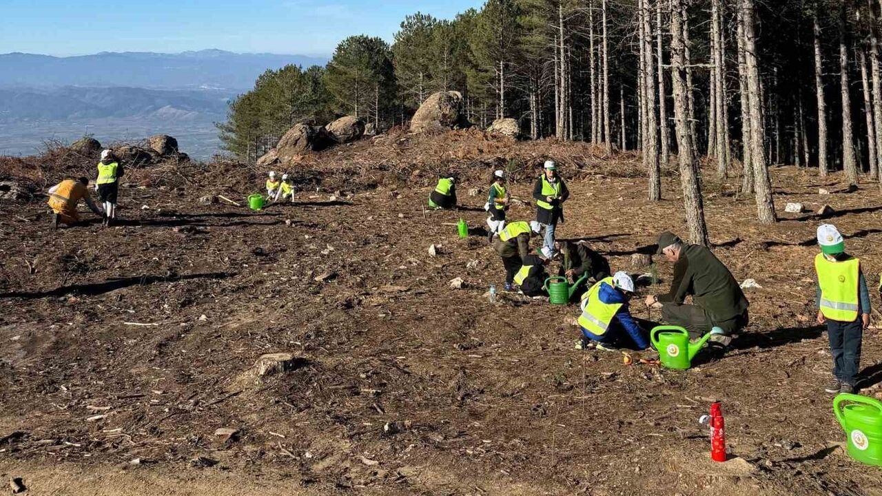 Çine’de ilkokul öğrencilerine orman faaliyetleri ve fidan dikimi anlatıldı