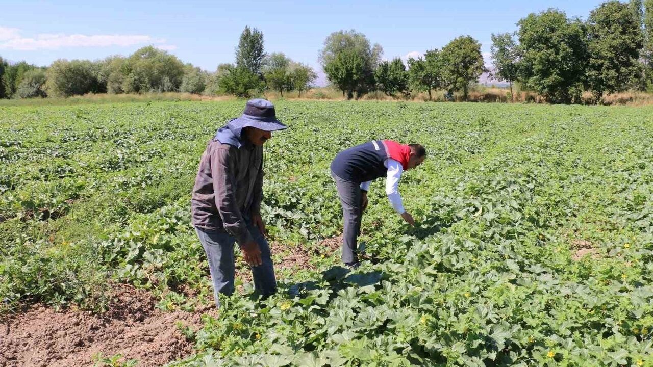 ÇKS başvuruları 31 Aralık 2025'te sona eriyor