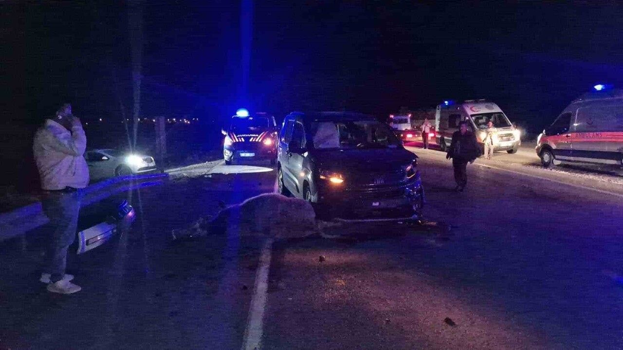 Çorum Alaca'da yola çıkan dana kazaya sebep oldu: 3 kişi yaralandı