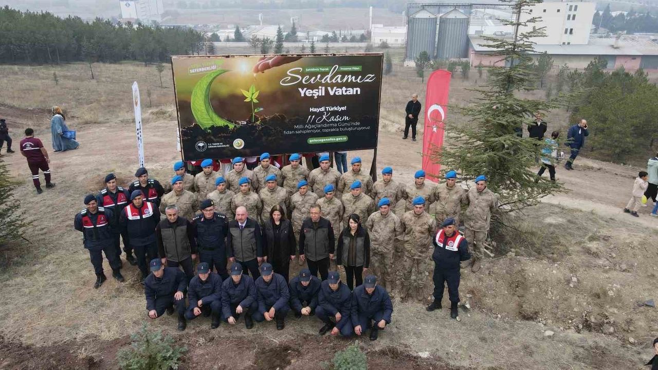 Çorum'da 11 Kasım'da Binlerce Fidan Toprakla Buluştu