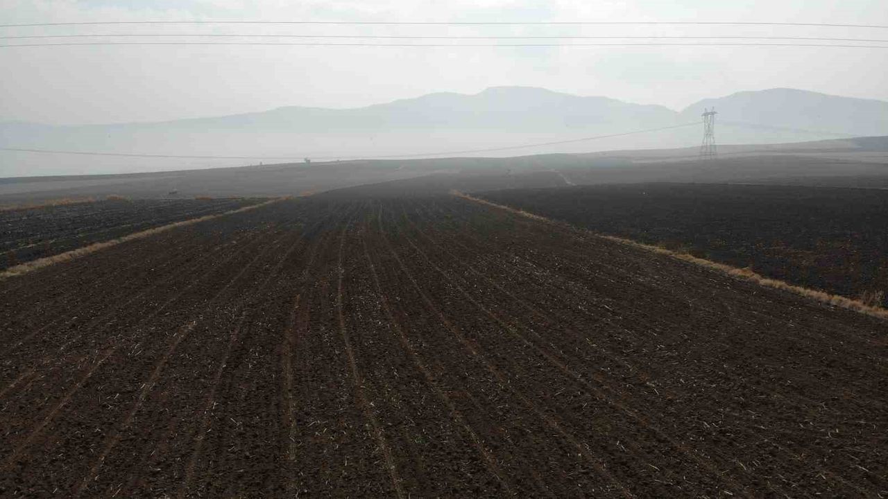 Çorum'da çiftçiler güz ekimine başladı