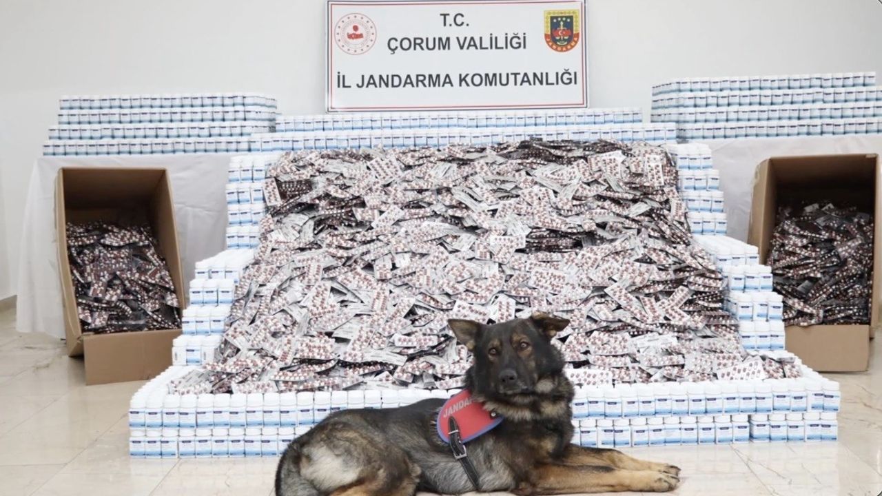 Çorum Jandarması'ndan dev uyuşturucu operasyonu: 736 bin 217 hap ele geçirildi