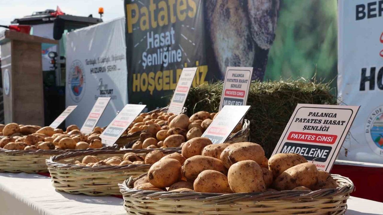Darende'de Yerli Patates Tohumu Şenliği Coşkusu