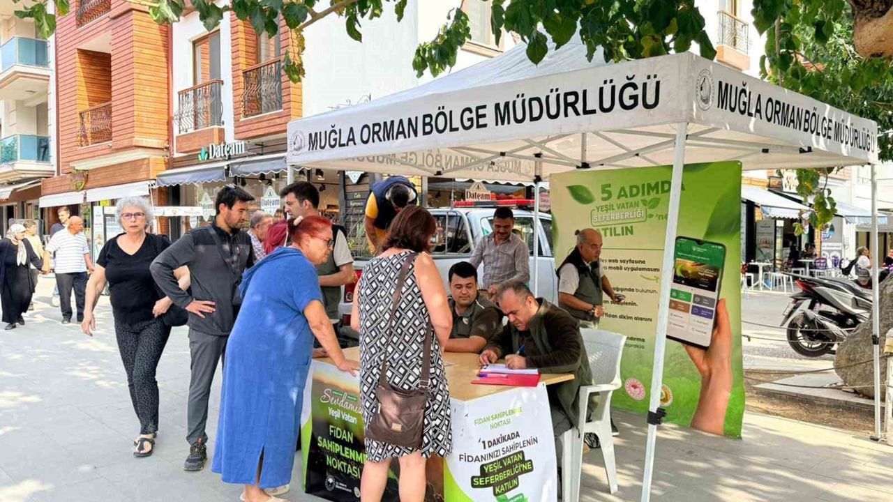 Datça’da 'Yeşil Vatan' seferberliği: Ücretsiz fidan dağıtımı