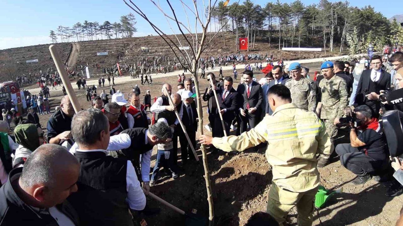 Delice'de yanan orman 11 Kasım'da binlerce fidanla yeniden yeşerdi