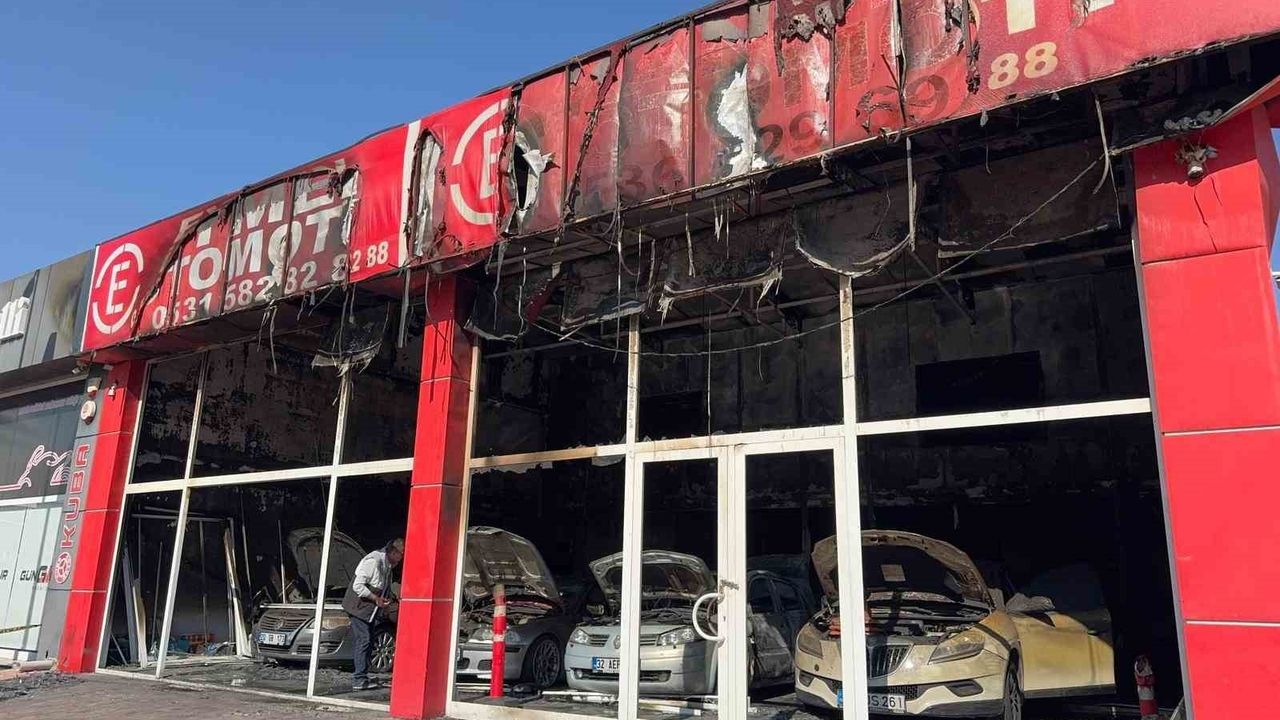 Denizli'de oto galeri kundaklandı: şüpheli yakalandı