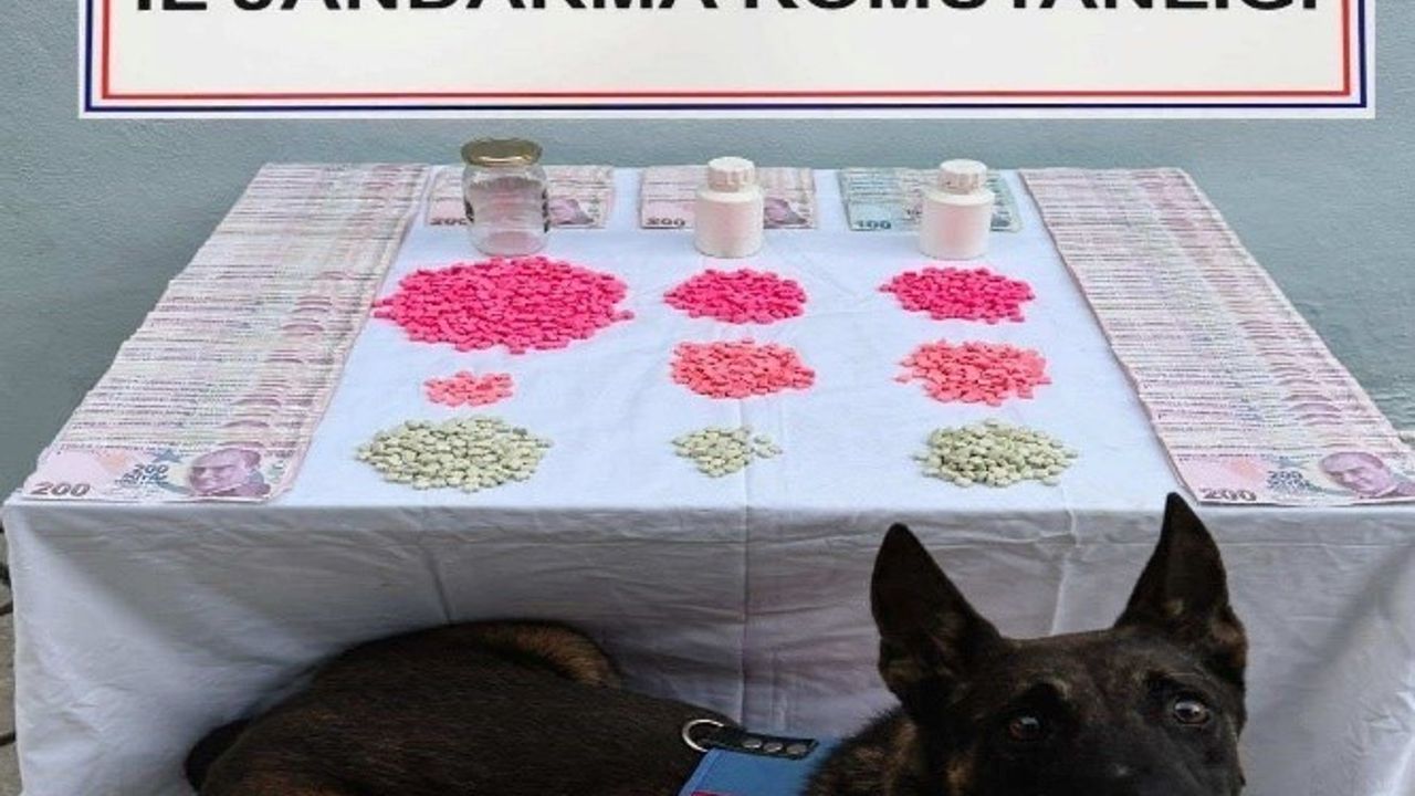 Denizli'de uyuşturucu tacirlerine operasyon