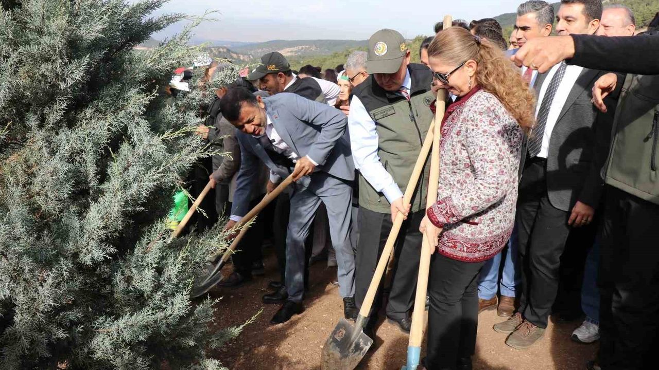 Denizli'de Yangın Bölgesinde Binlerce Fidan Toprakla Buluştu