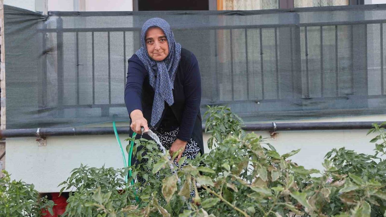 Depremzede Kadın Bahçesiyle Yeni Yuvasını Güzelleştiriyor