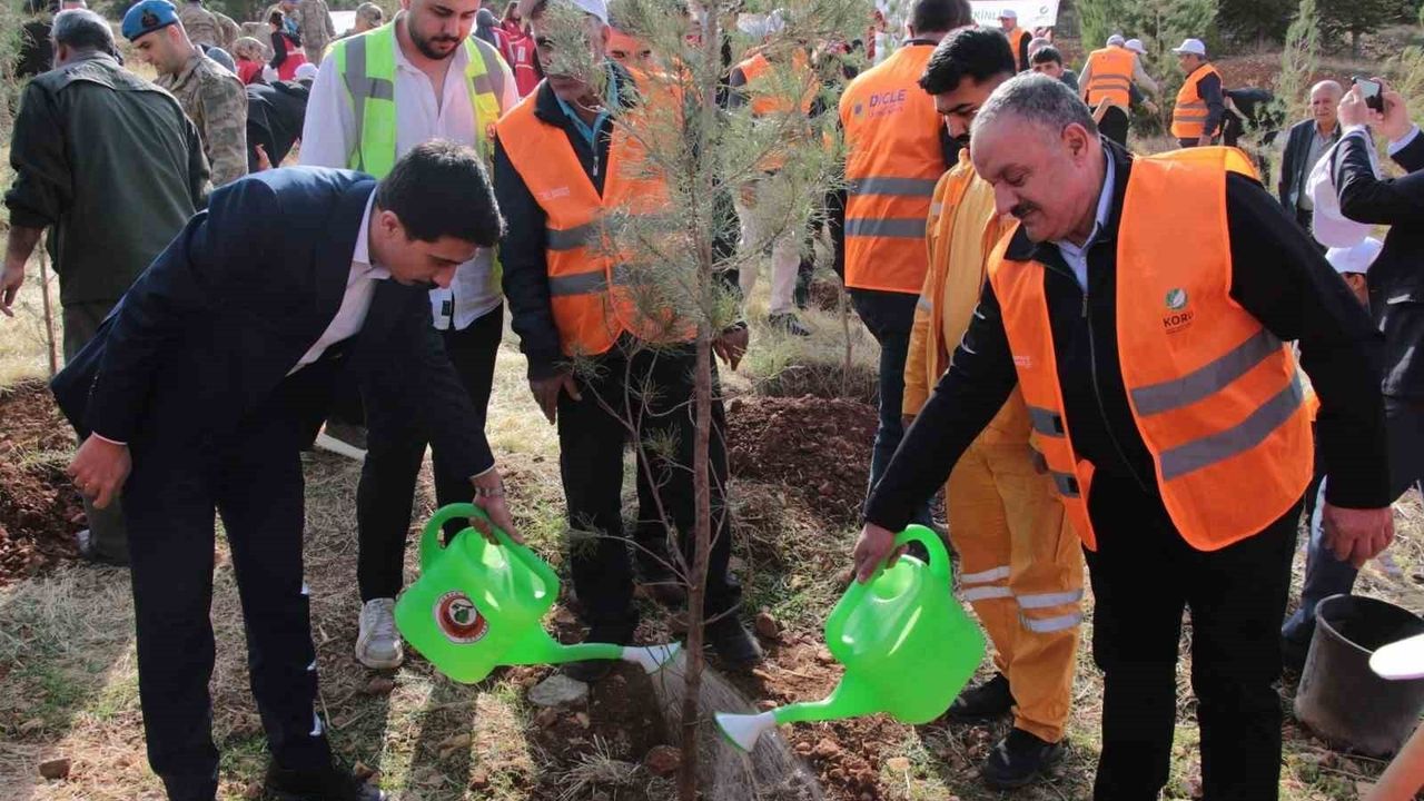 DEPSAŞ Enerji Makam Dağı’na 3 bin fidan dikti