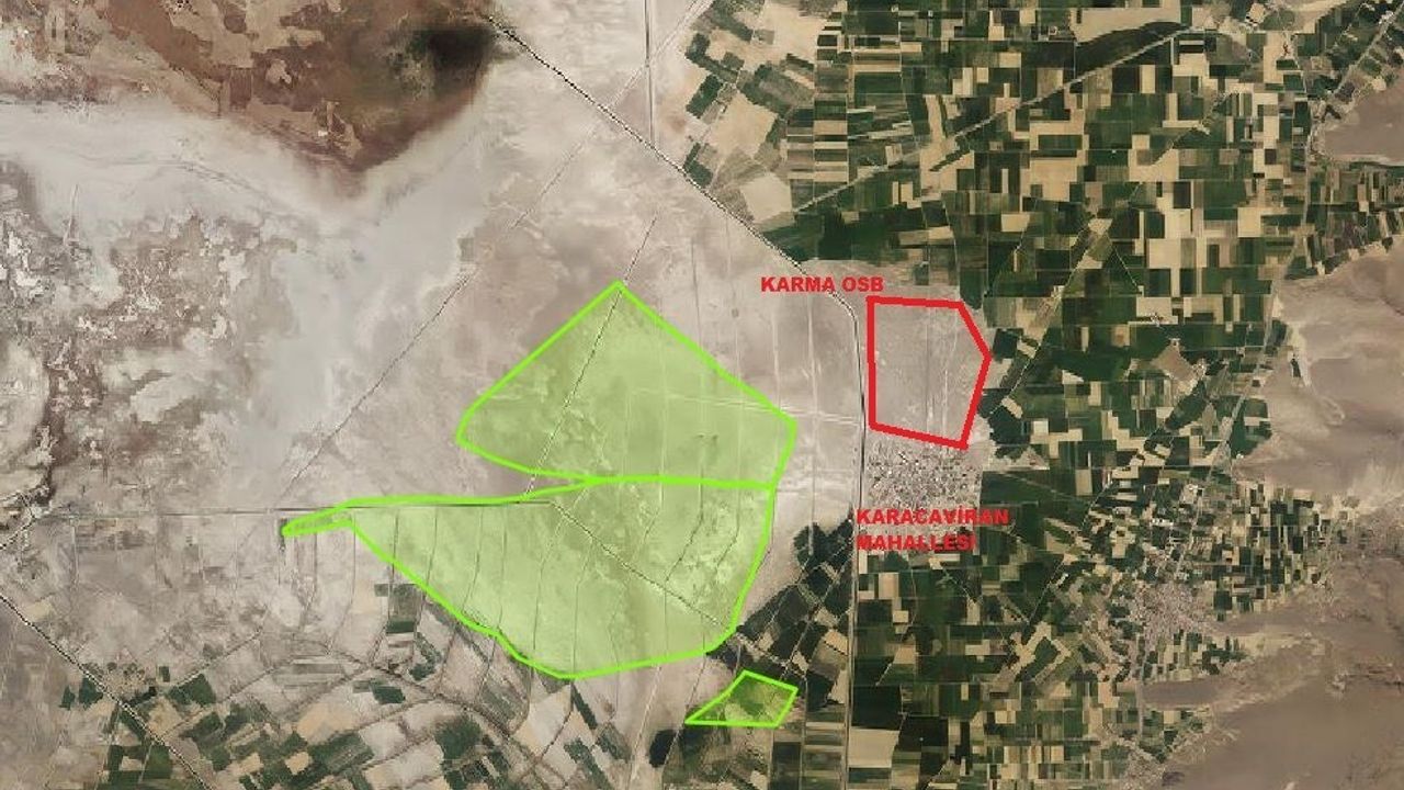 Develi'de 4.800 dekar mera 33 çiftçiye kiralandı