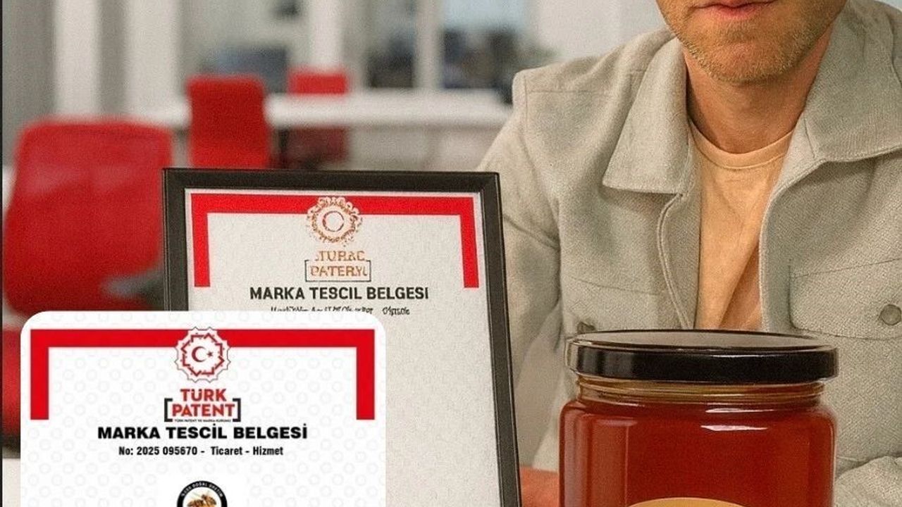 Devrek Alpaslan Köyü'nde kestane balı tescillendi