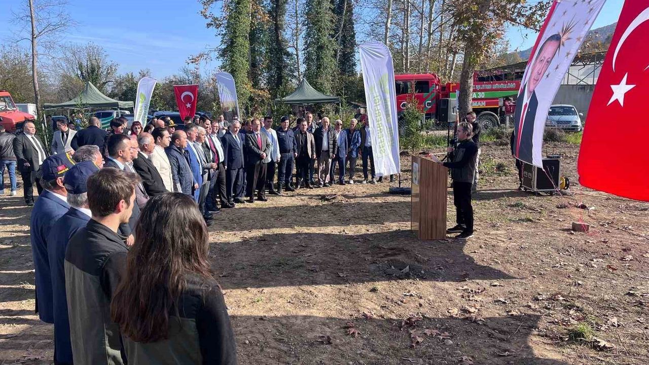 Devrek'te 11 Kasım'da 400 fidan toprakla buluştu