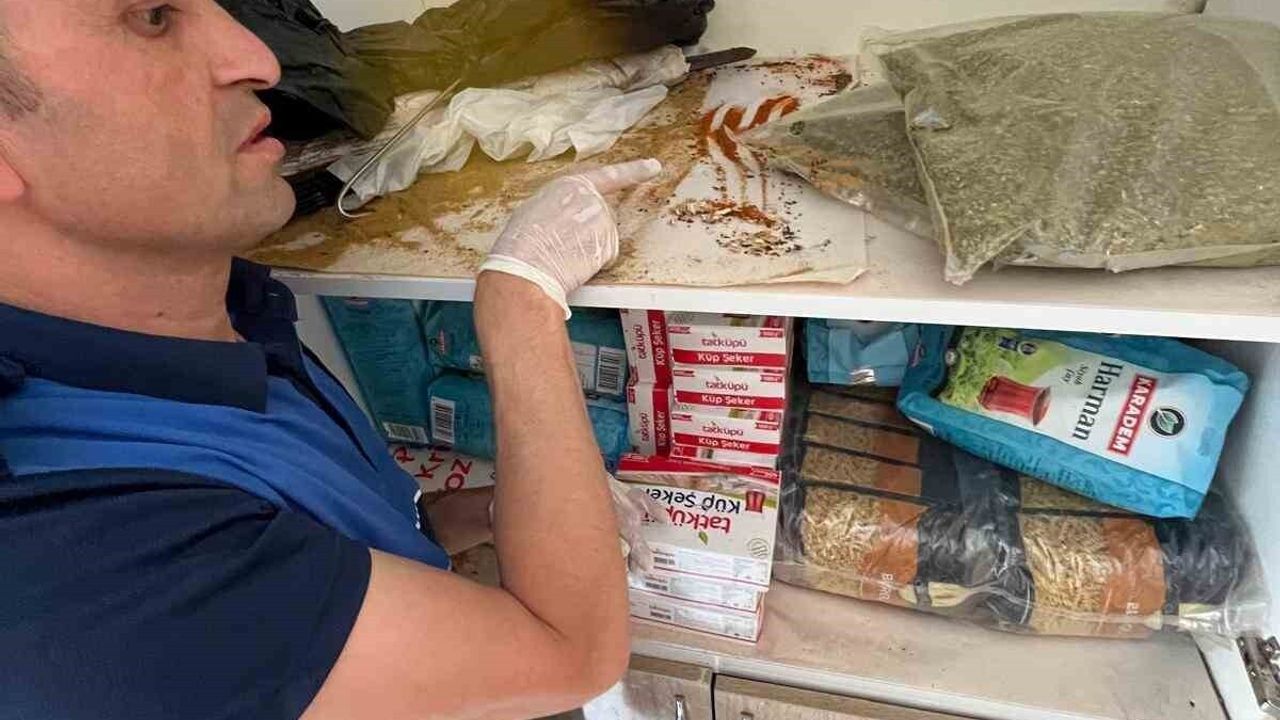 Devrek'te iki günde ikinci hijyen skandalı: Yemek işletmesi mühürlendi