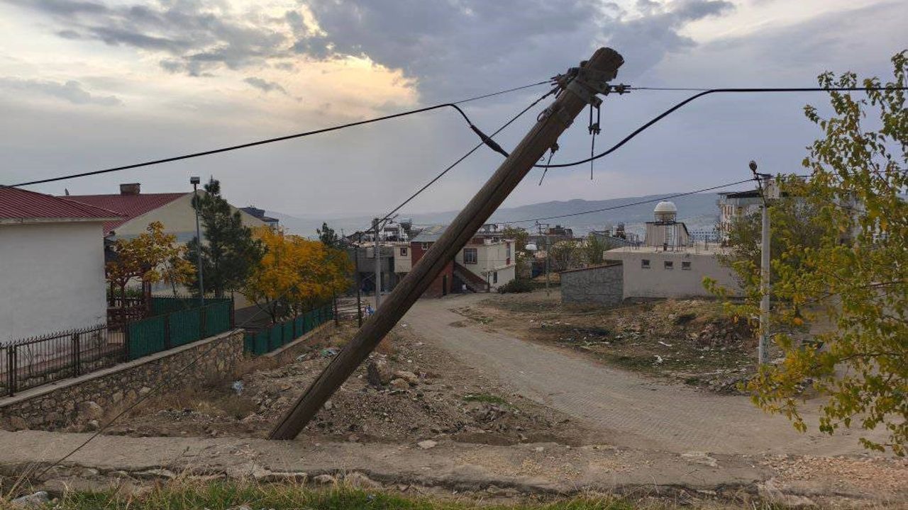 Dicle’de Eğik Ağaç Direk Endişesi: Vatandaşlar Değişim Talep Ediyor