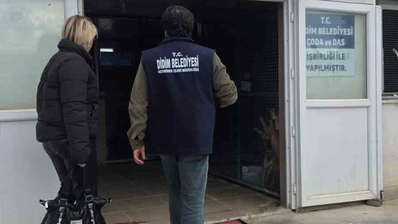 Didim Belediyesi'nden sokak hayvanlarına destek