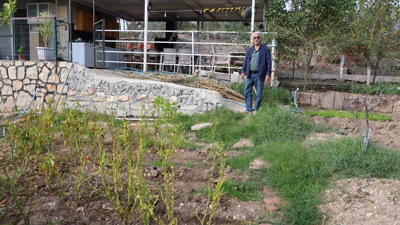 Didim’de emekli Aslan Arslan keçileriyle köy hayatına döndü