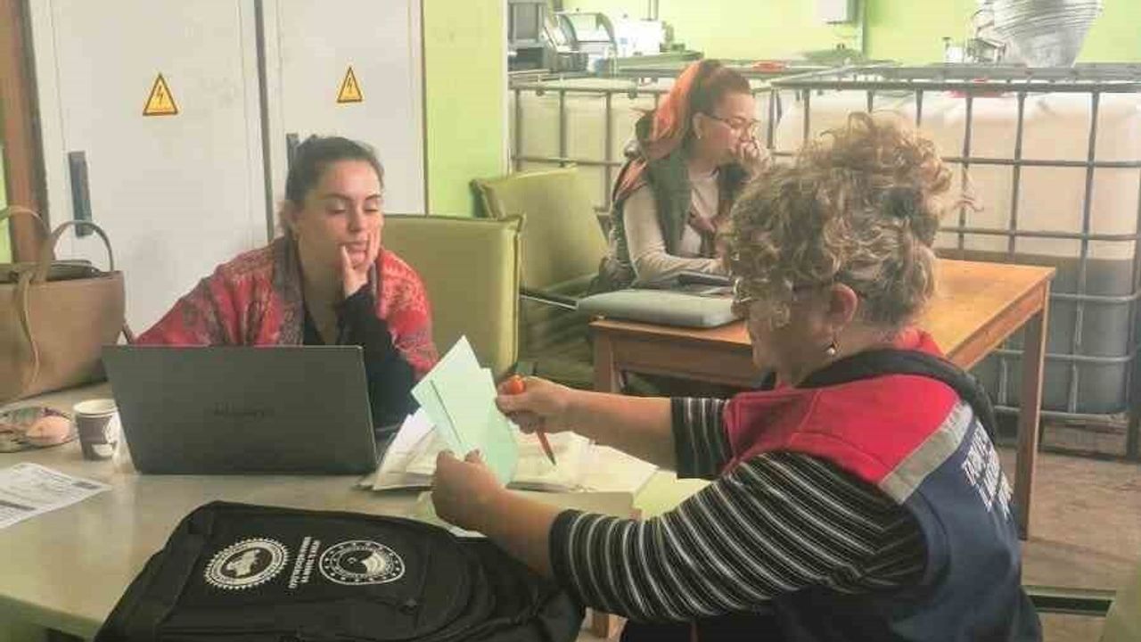 Didim'de organik zeytin ve zeytinyağı üretim alanlarında denetim