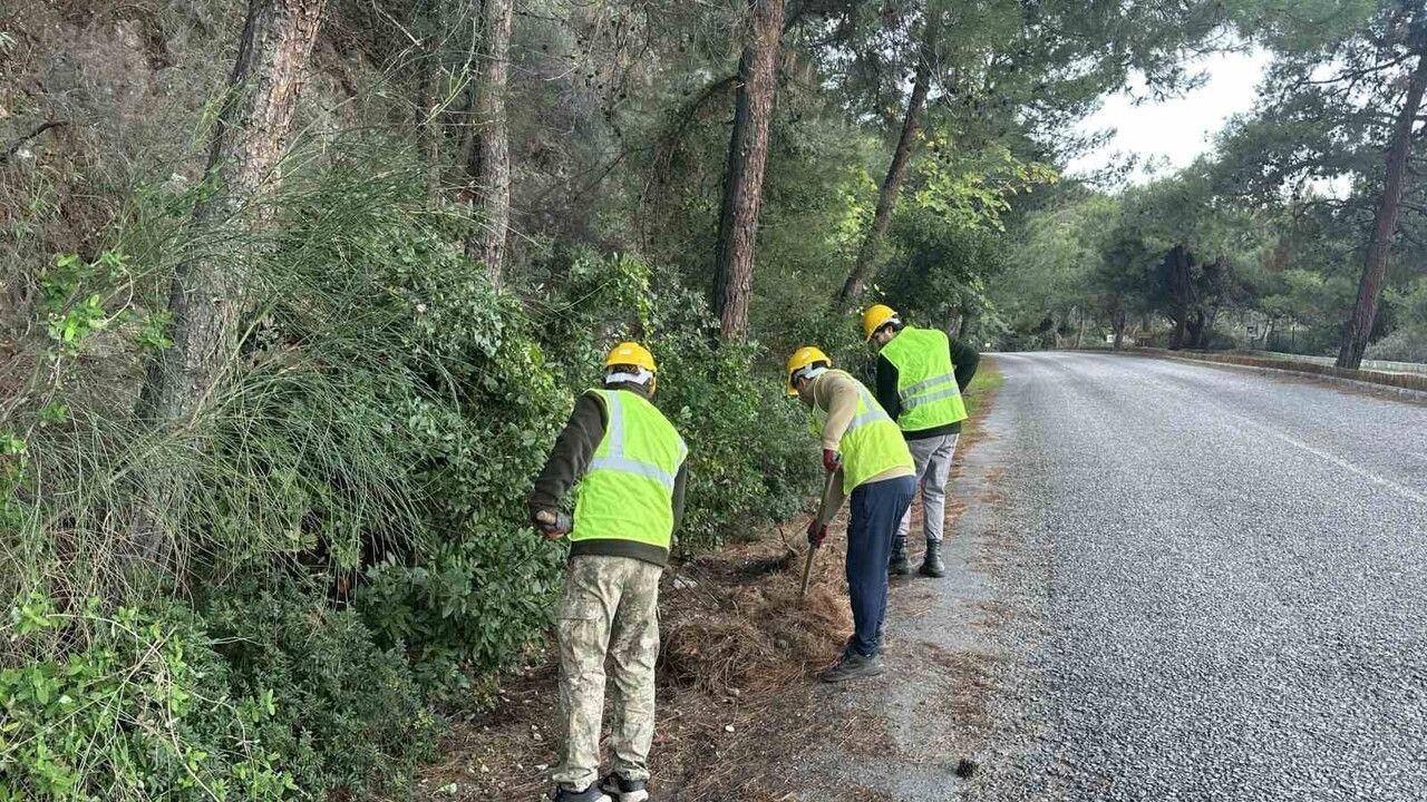 Dilek Yarımadası Milli Parkı’nda yangın riskini azaltma çalışmaları sürüyor