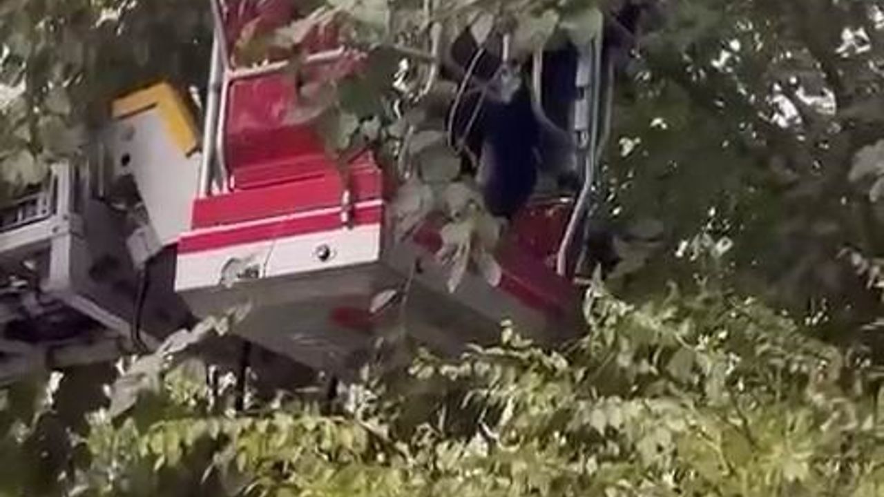 Diyarbakır'da ağaçta mahsur kalan kedi itfaiye tarafından kurtarıldı