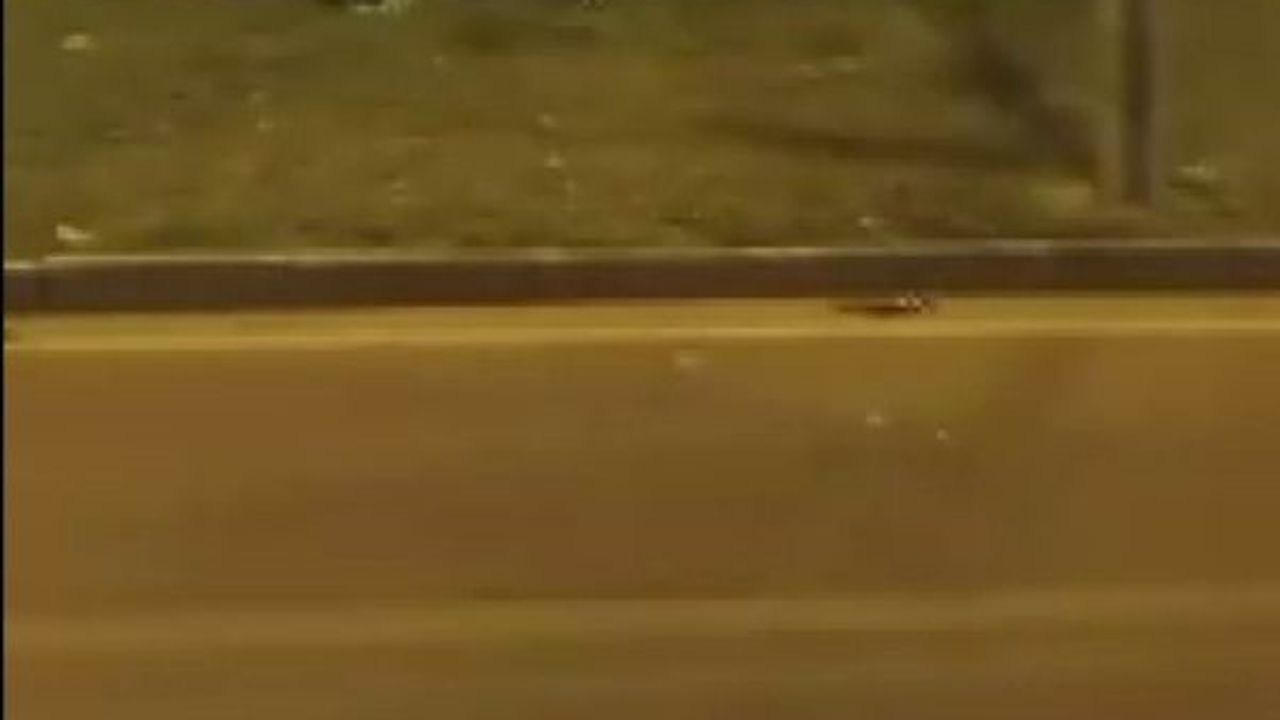 Diyarbakır'da araç refüje çıktı: 1 kişi yaralandı