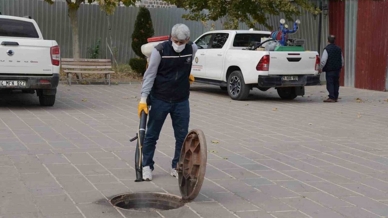 Diyarbakır'da kışlak ilaçlama çalışması başladı