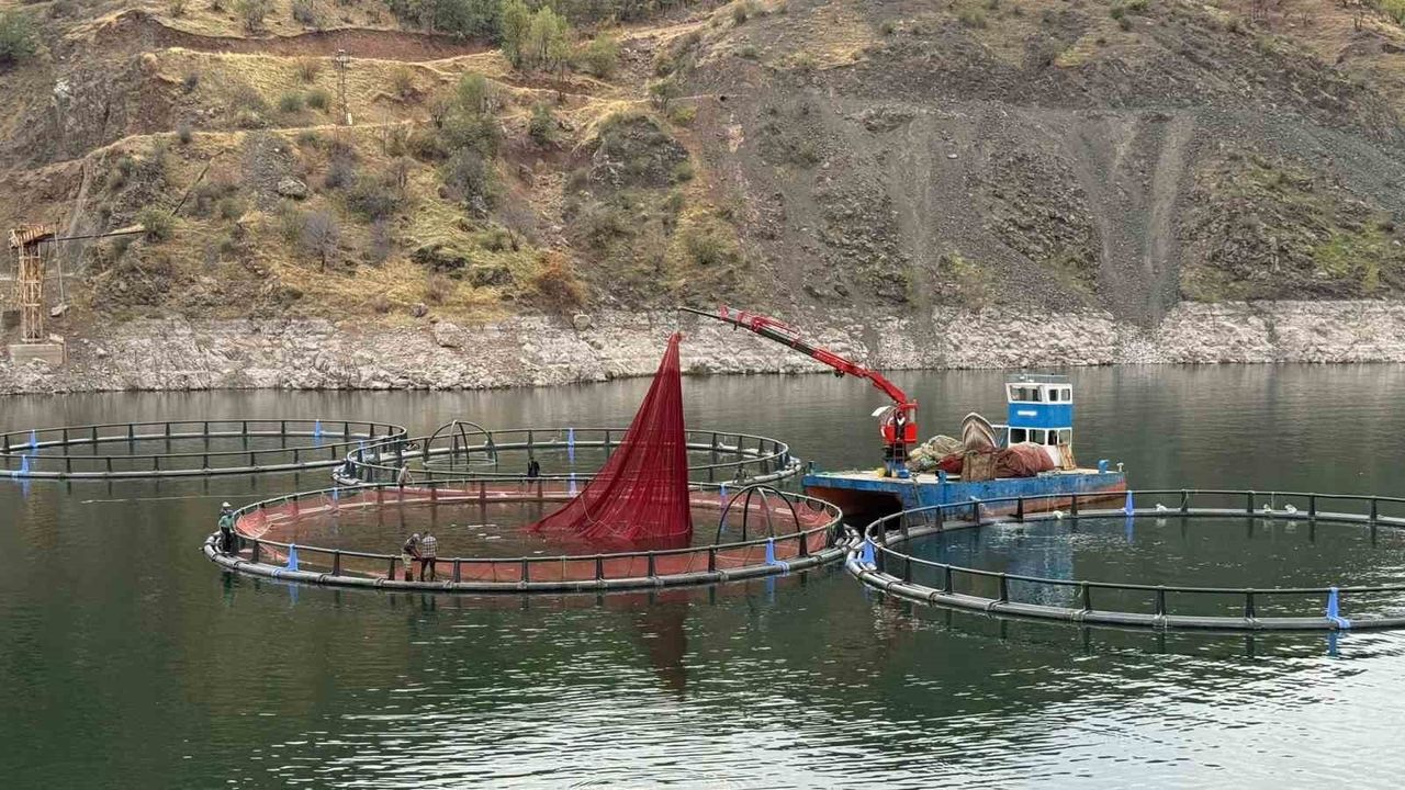 Diyarbakır’dan Dünyaya 'Mezopotamya Somonu' — Çüngüşte 500 Ton Kapasiteli Tesisten İhracat