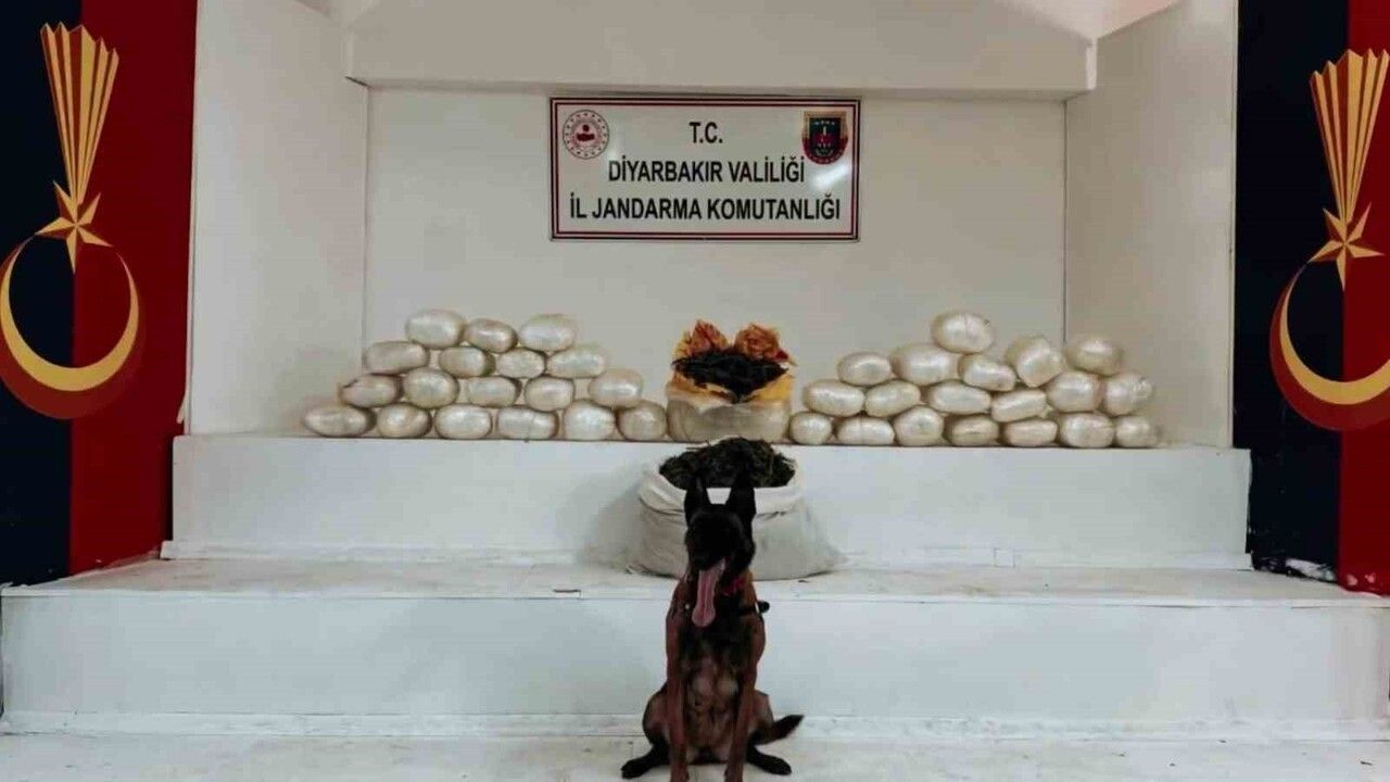 Diyarbakır Lice'de 470 kg skunk ve 85 kg esrar ele geçirildi