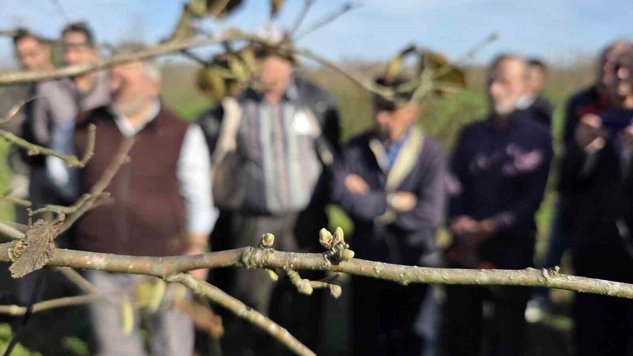 Doğru Budama ile 500 m²’lik Bahçe 10 Dönümlük Bahçeyi Geçti