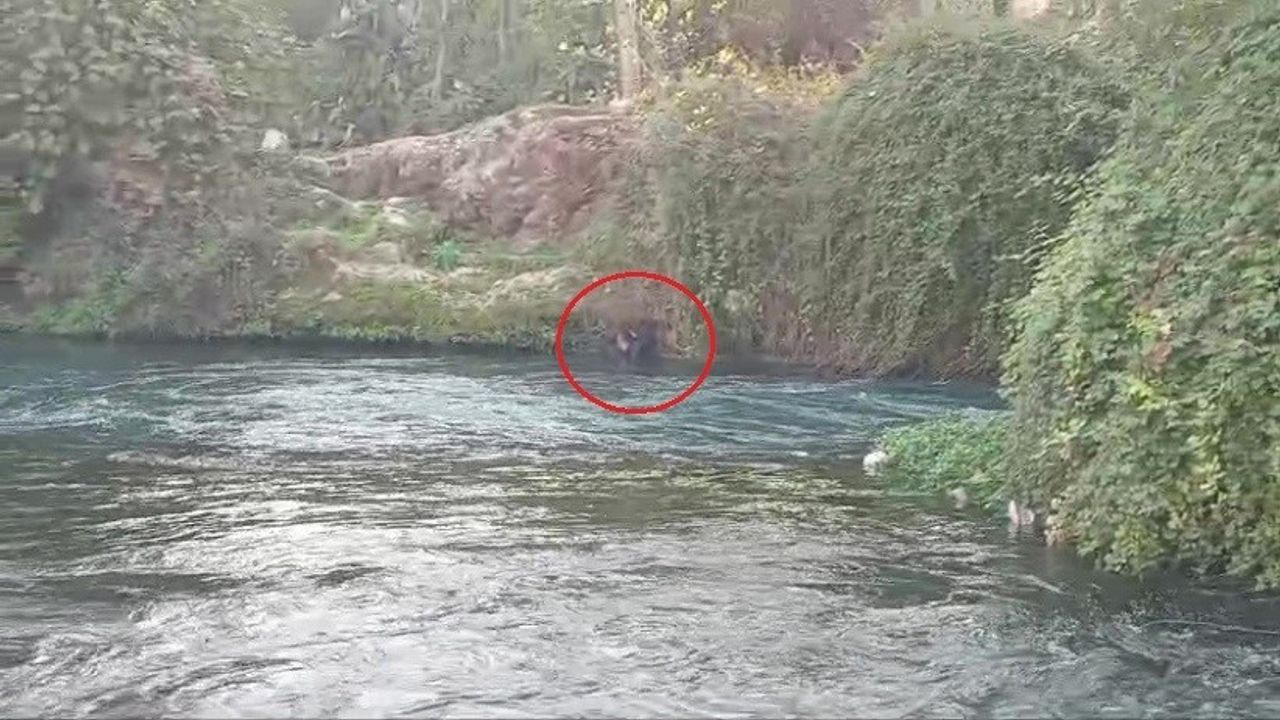 Düden Çayı’na düşen kişi itfaiye ve AFAD ekiplerince kurtarıldı