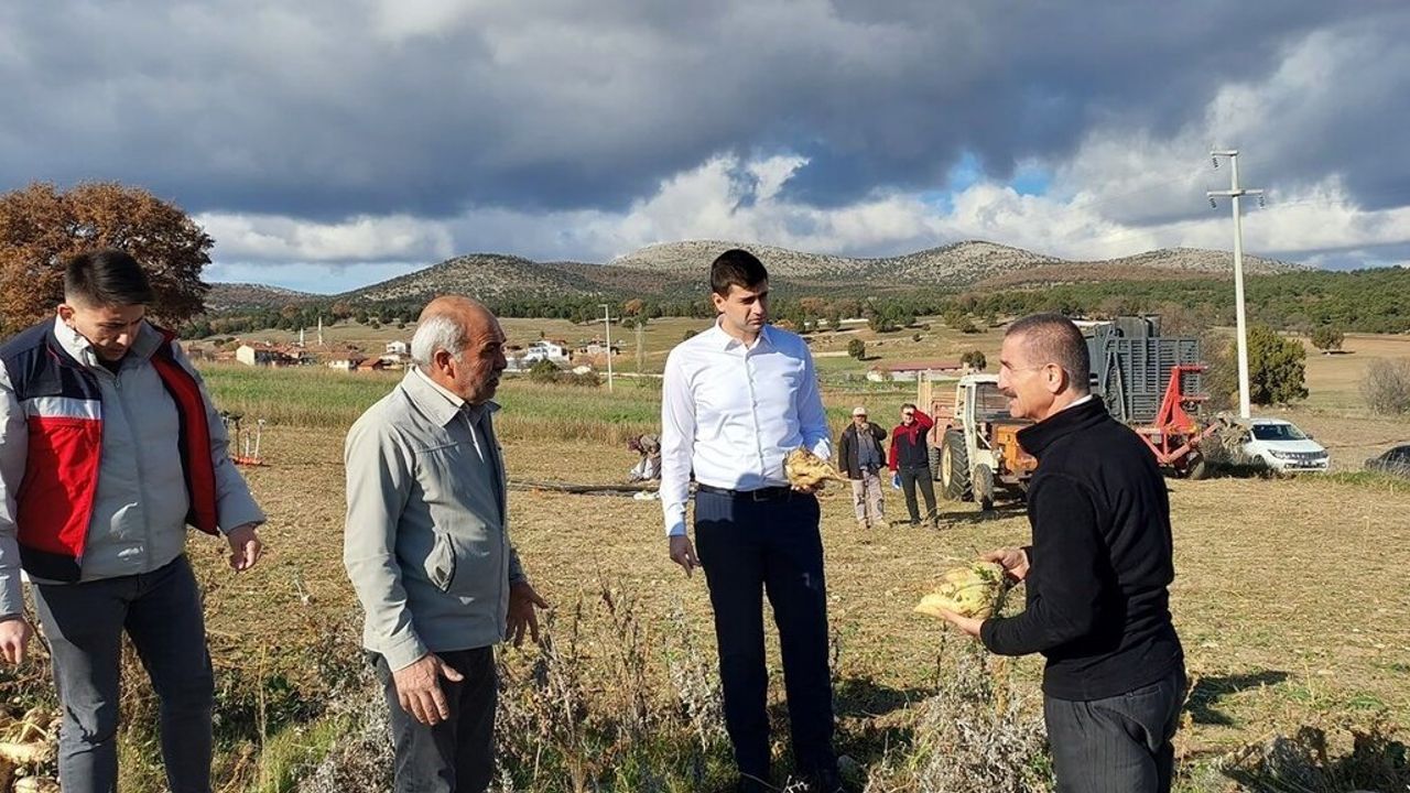 Dumlupınar Kaymakamı Teltik Eyidemir'de şeker pancarı hasadını inceledi