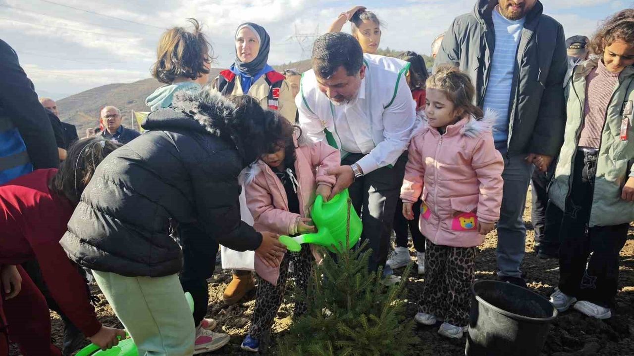 Düzce’de 43 bin 563 fidan Yeşilyayla’da toprakla buluştu
