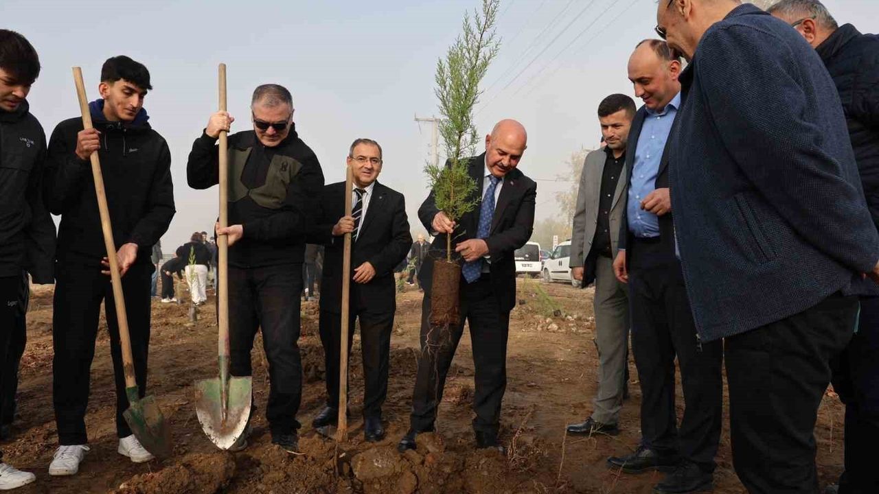 Düzce Üniversitesi 'Yeşil Vatan' için 250 fidan dikti