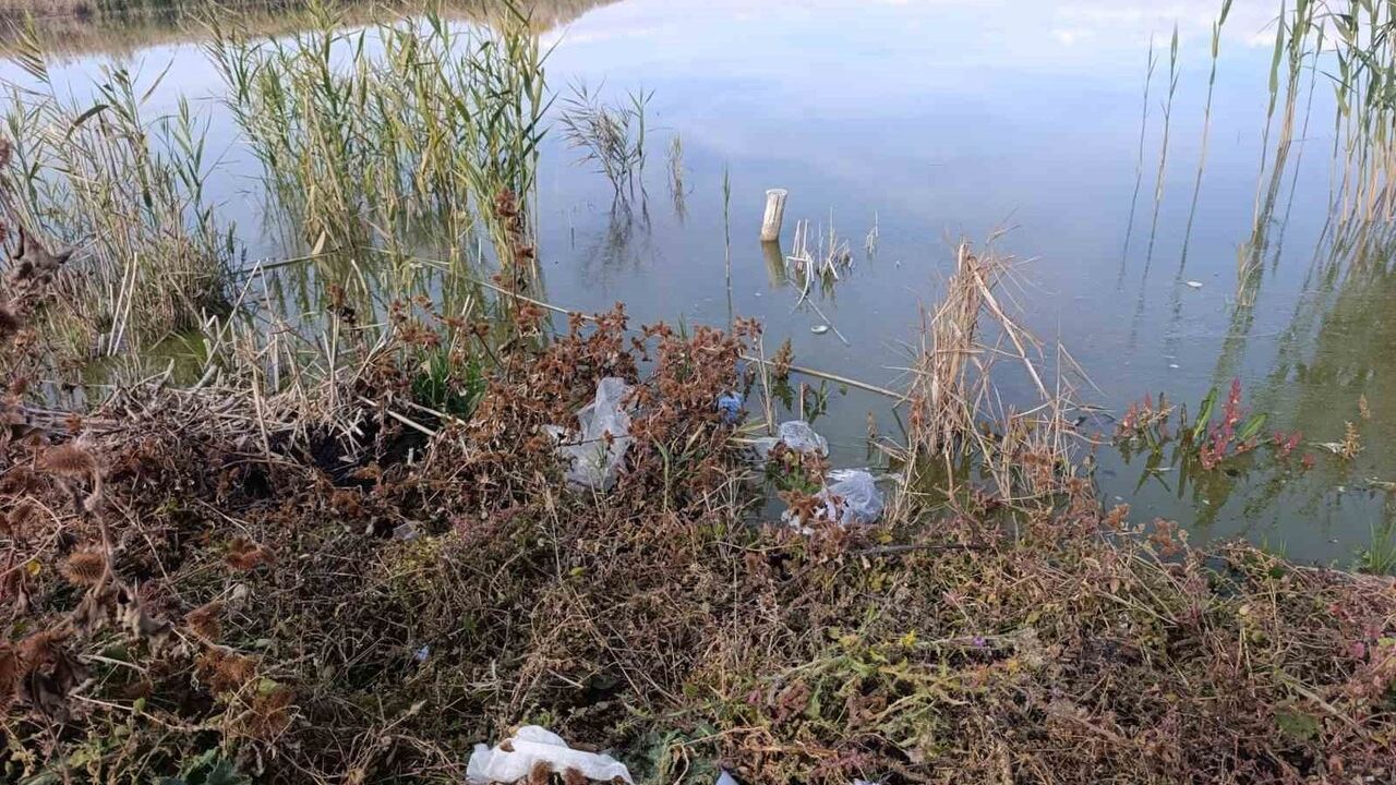 Eber Gölü'nde kirlilik endişesi yükseliyor