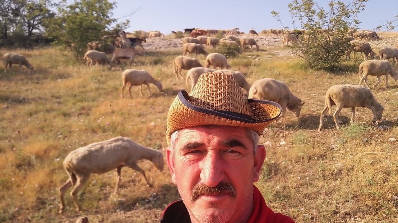 Edirne'de çoban krizi: Aylık 50 bin liraya rağmen personel bulunamıyor