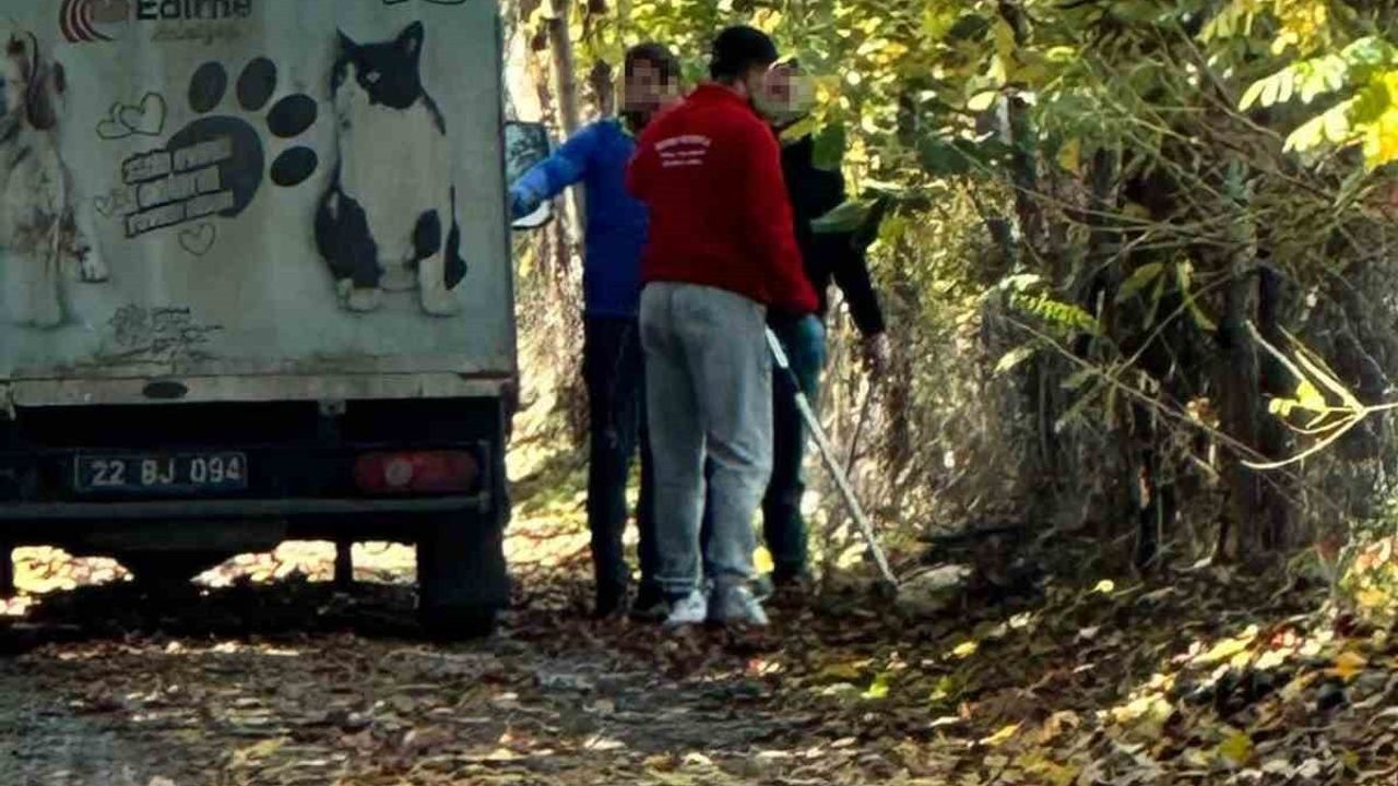 Edirne'de sokak hayvanlarının toplanma yöntemi tepki çekti