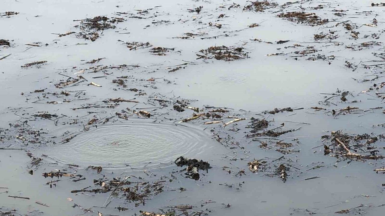 Efteni Gölü’nde dipten yükselen kabarcıklar endişe yarattı