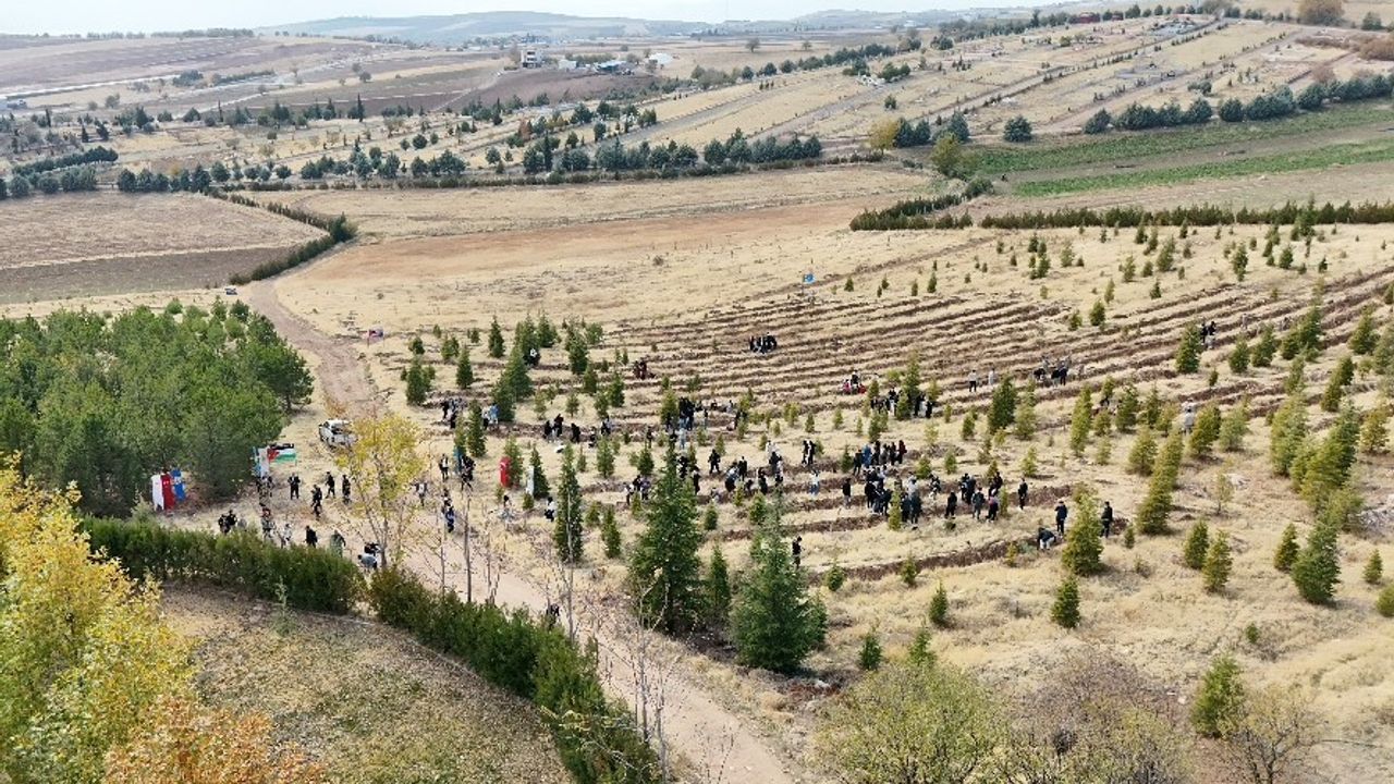 Elazığ'da Doğu Türkistan ve Filistin için fidan dikildi